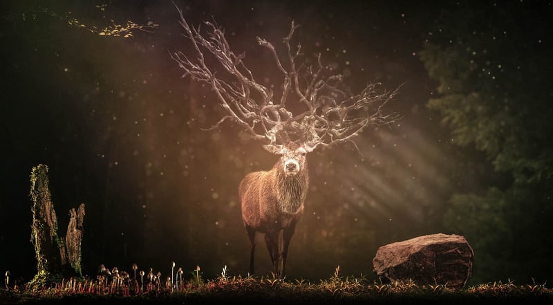 Mystic Animals